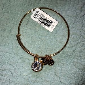 Alex & Ani brand new with tags Crystal birthstone
